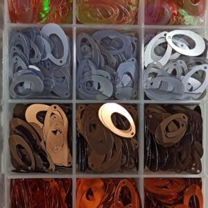 Lentejuelas caladas 1