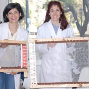 2 Bastidores Luneville de 40x40 y 60x80